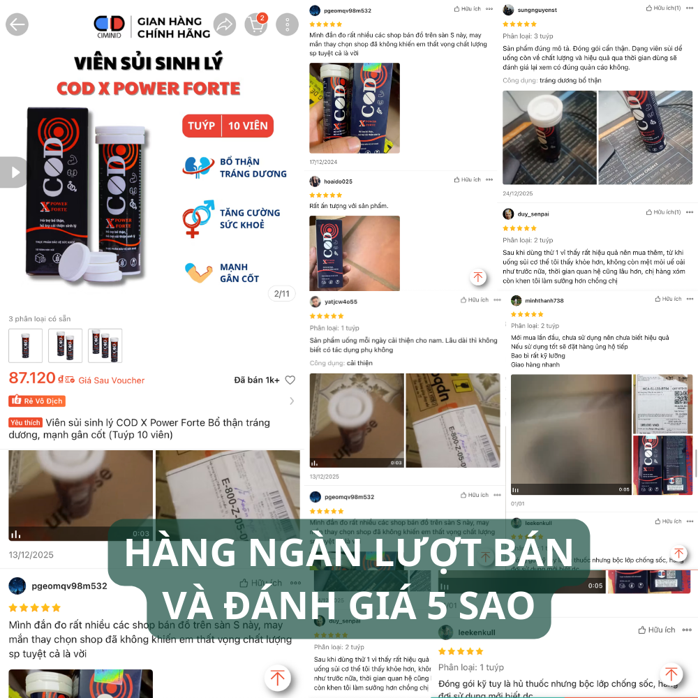 vien sui sinh ly cod x power forte