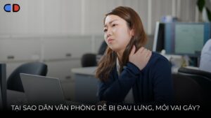5 phút giãn cơ cho dân văn phòng thoát đau mỏi vai gáy