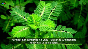 diệp hạ châu