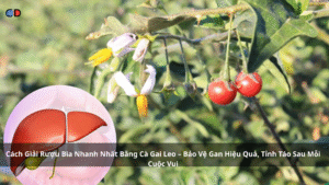 Cách Giải Rượu Bia