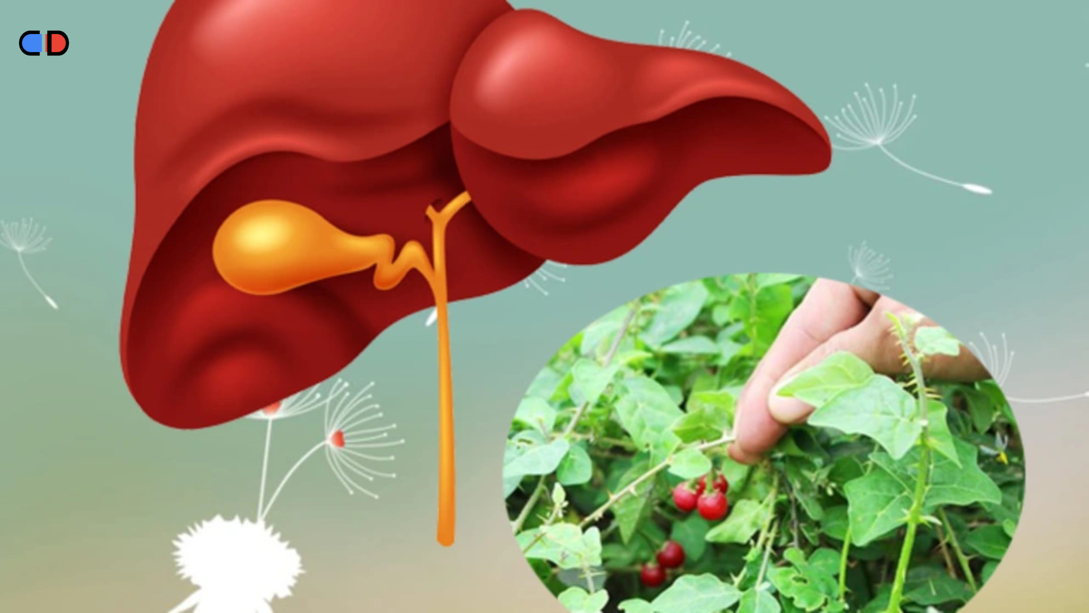 cách giải rượu bia